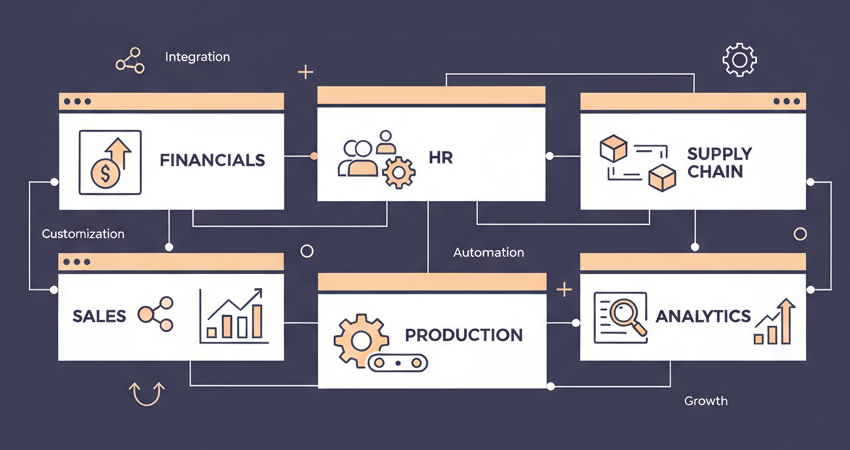 Custom ERP Software Development